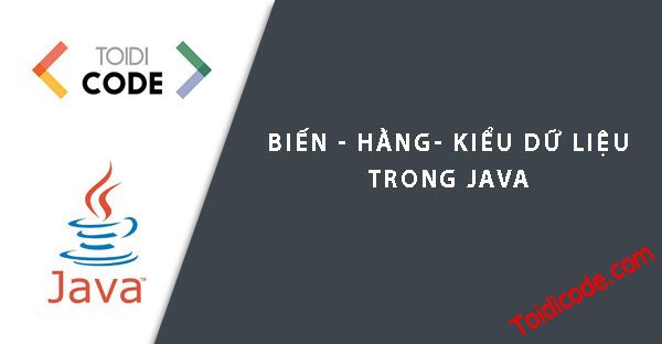Biến Trong Java